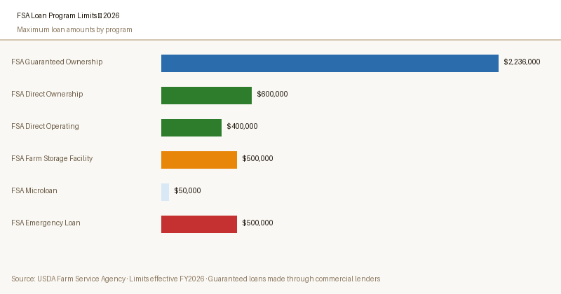 Reference chart of FSA loan program limits supporting the agricultural finance glossary definitions